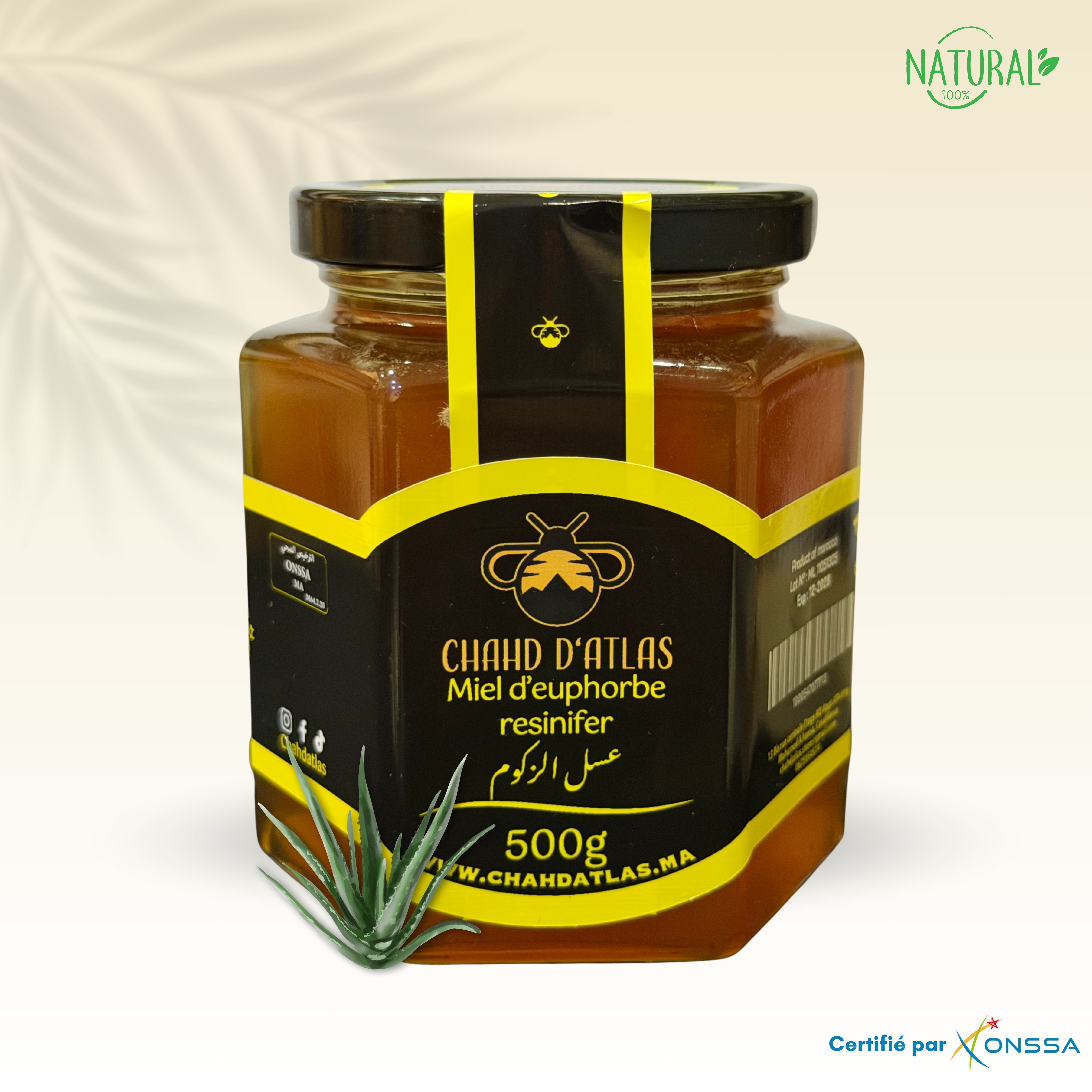 Miel d’euphorbe resinifer – Chahd d’atlas