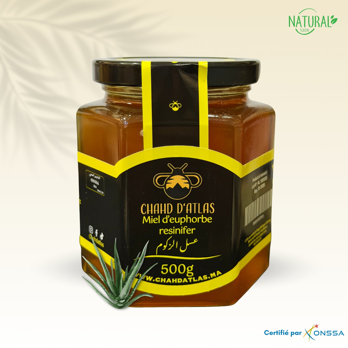 Miel d’euphorbe resinifer