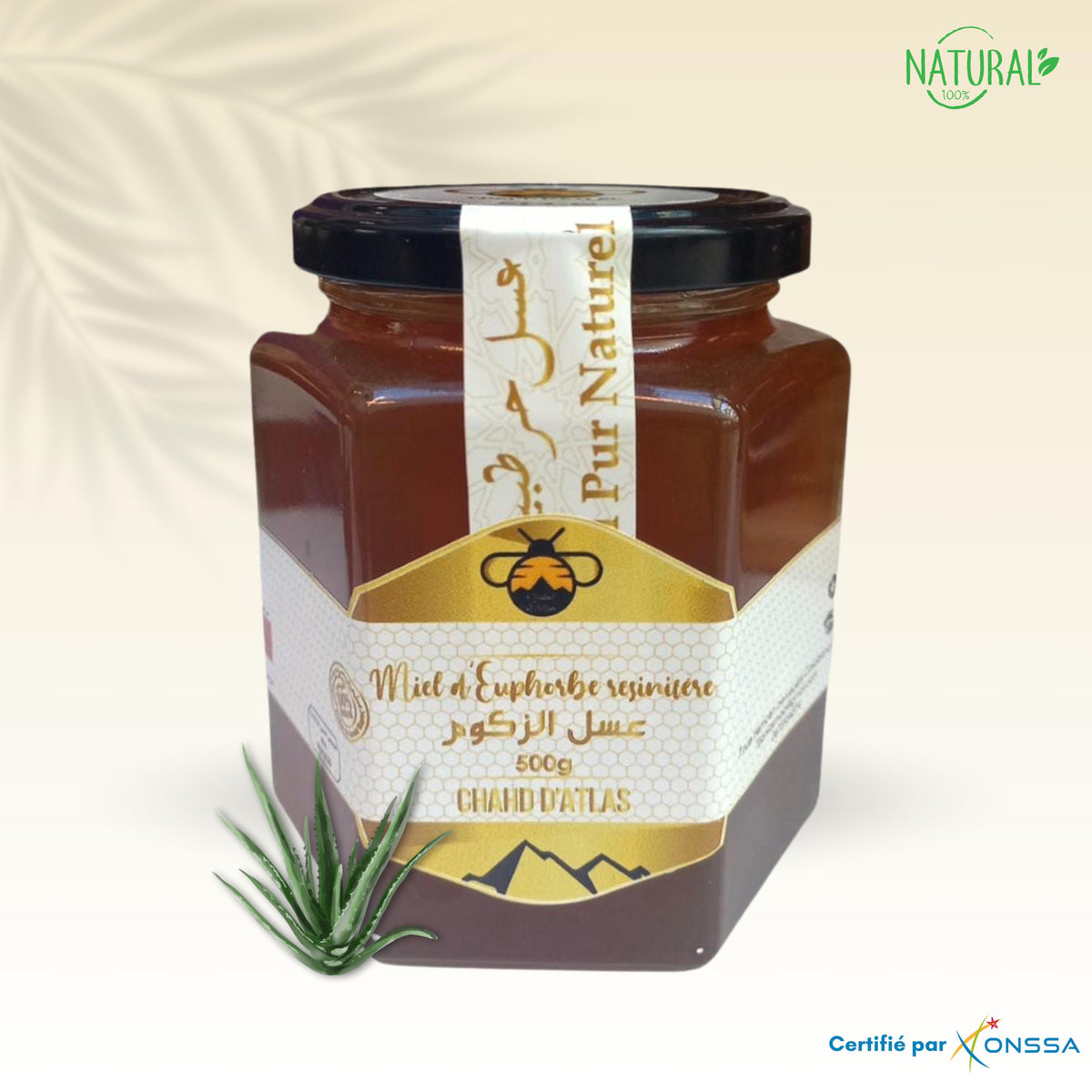 Miel d’euphorbe resinifer – Chahd d’atlas
